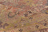 Antique Mahal Area Rug (11' x 16')